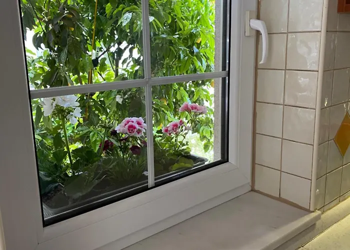 Apartman Private Pool 2 Biograd Na Moru